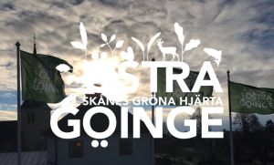 Näringsliv flaggor Skånes gröna hjärta