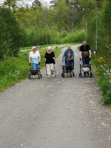 Personer, några med rullatorer, går på en gångväg i naturen.
