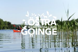 En man paddlar kanot. Platssymbolen för Skånes gröna hjärta är placerad mitt i bilden.