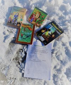 Böcker som ligger i snö