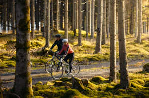 Cyklister på skogsväg.