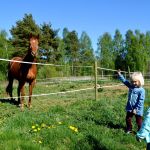 Barn och häst.