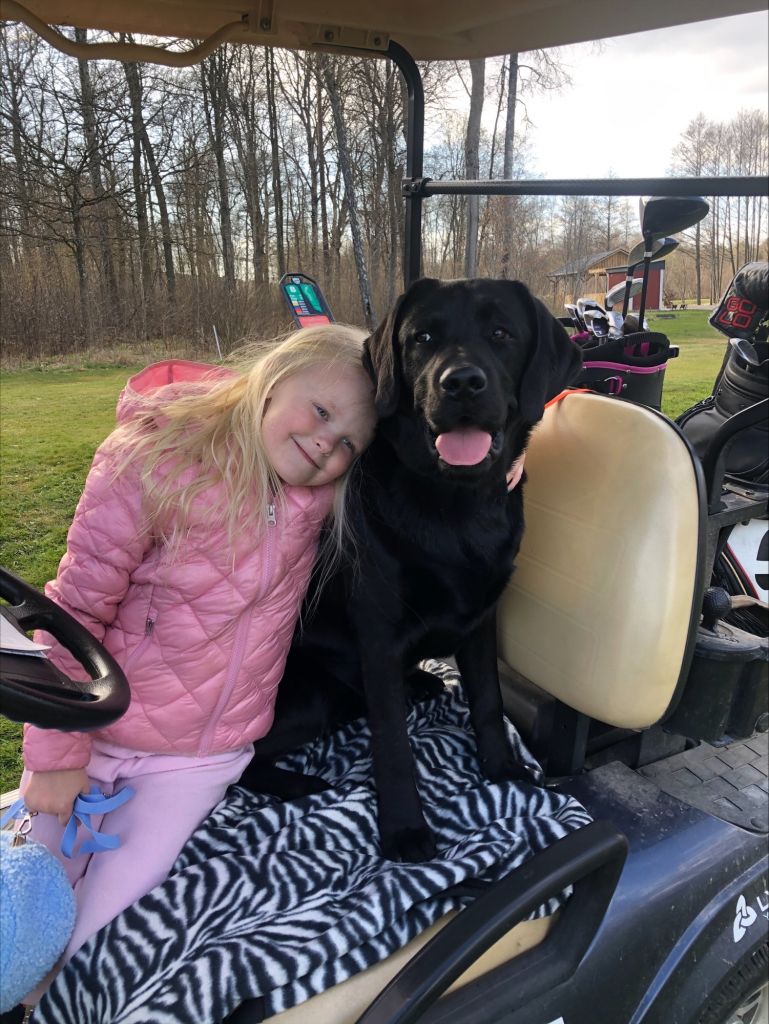Bild på Mikaels barnbarn Alice tillsammans med hunden Kenzo i en golfbil. 